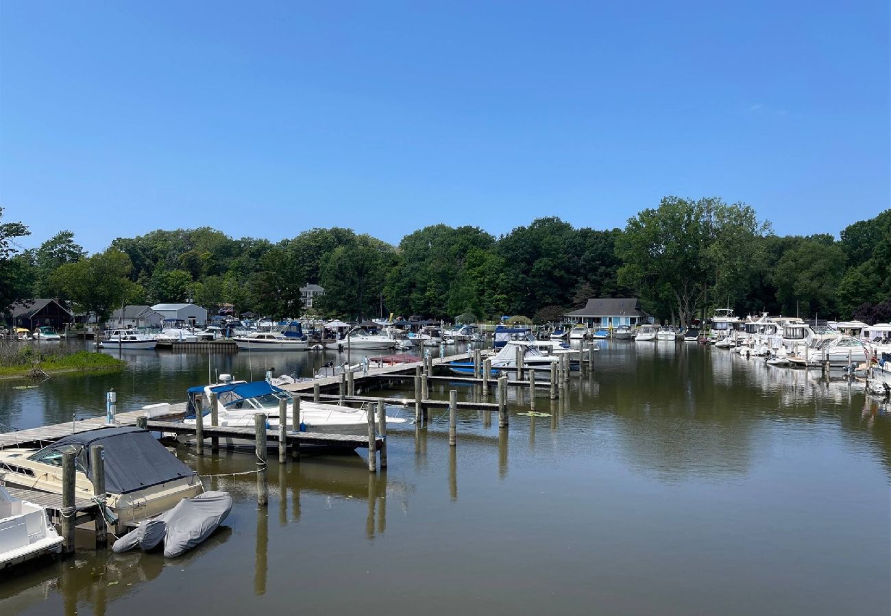 Rooftop deck view from Morning Glory floating cottage overlooking boats, docks, and the tree-lined marina